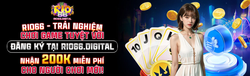 banner rio66 digital